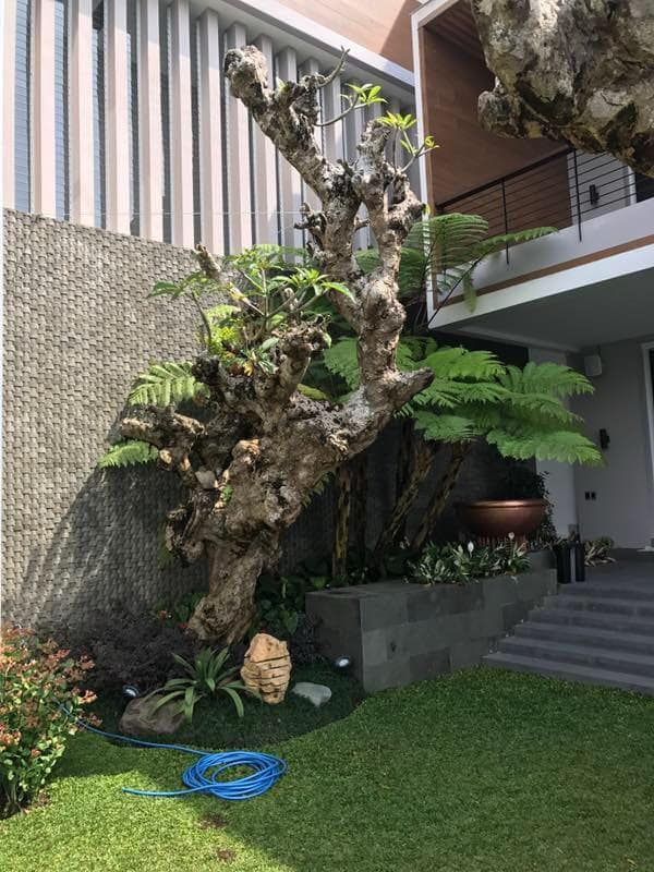 Mr. J Residence - Thumbnail 7